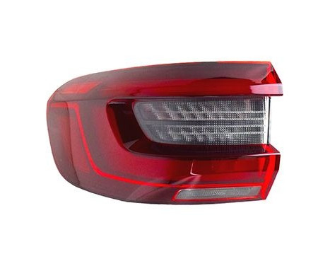 LUZ TRASERA IZQUIERDA 0592921 Van Wezel