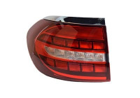 LUZ TRASERA IZQUIERDA 2905921U Van Wezel