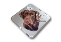Auto Tattoo Sticker Labrador on board - 11,5x11,5cm