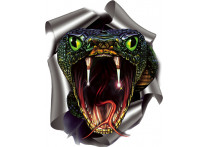 Sticker Snake - 17,6x20cm