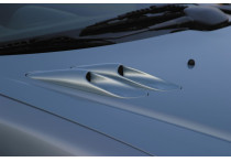RGM Motorkapluchtinlaten Peugeot 206 (ter vervanging van de originele)