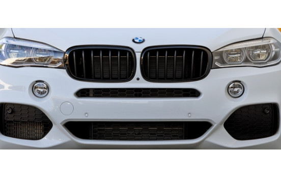 Grille de radiateur HD Tuning, Image 2