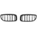 Grille de radiateur HD Tuning, Vignette 2