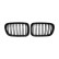 Grille de radiateur HD Tuning