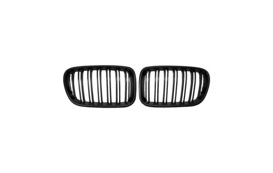 Grille de radiateur HD Tuning