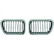 Grille de radiateur HD Tuning