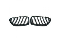 Grille de radiateur HD Tuning