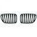 Grille de radiateur HD Tuning