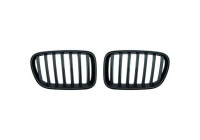Grille de radiateur HD Tuning
