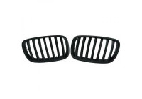 Grille de radiateur HD Tuning