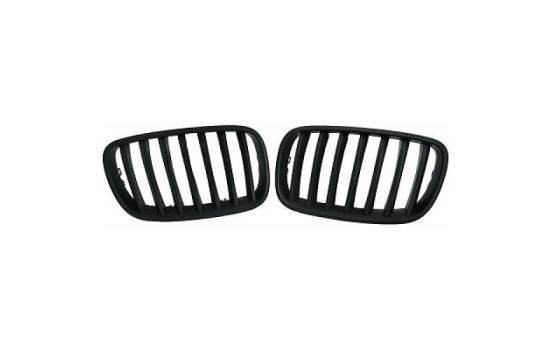 Grille de radiateur HD Tuning