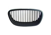 Grille de radiateur HD Tuning