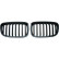 Grille de radiateur HD Tuning