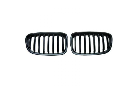 Grille de radiateur HD Tuning