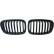 Grille de radiateur HD Tuning