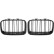 Grille de radiateur HD Tuning