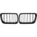 Grille de radiateur HD Tuning