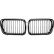 Grille de radiateur HD Tuning