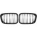 Grille de radiateur HD Tuning