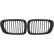 Grille de radiateur HD Tuning