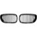 Grille de radiateur HD Tuning