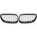 Grille de radiateur HD Tuning