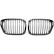 Grille de radiateur HD Tuning