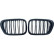 Grille de radiateur HD Tuning