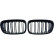 Grille de radiateur HD Tuning
