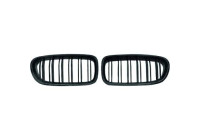 Grille de radiateur HD Tuning