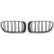 Grille de radiateur HD Tuning