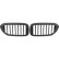 Grille de radiateur HD Tuning
