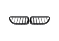 Grille de radiateur HD Tuning