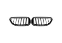 Grille de radiateur HD Tuning