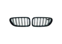 Grille de radiateur HD Tuning