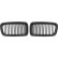 Grille de radiateur HD Tuning