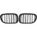 Grille de radiateur HD Tuning