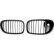 Grille de radiateur HD Tuning