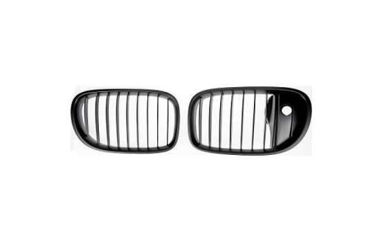 Grille de radiateur HD Tuning