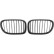 Grille de radiateur HD Tuning