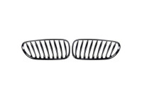 Grille de radiateur HD Tuning