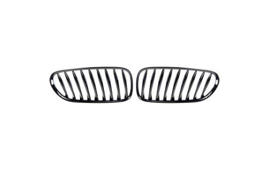 Grille de radiateur HD Tuning
