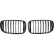 Grille de radiateur HD Tuning