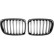 Grille de radiateur HD Tuning