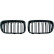 Grille de radiateur HD Tuning