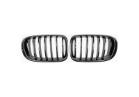 Grille de radiateur HD Tuning