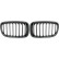 Grille de radiateur HD Tuning