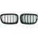 Grille de radiateur HD Tuning