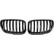 Grille de radiateur HD Tuning