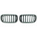Grille de radiateur HD Tuning